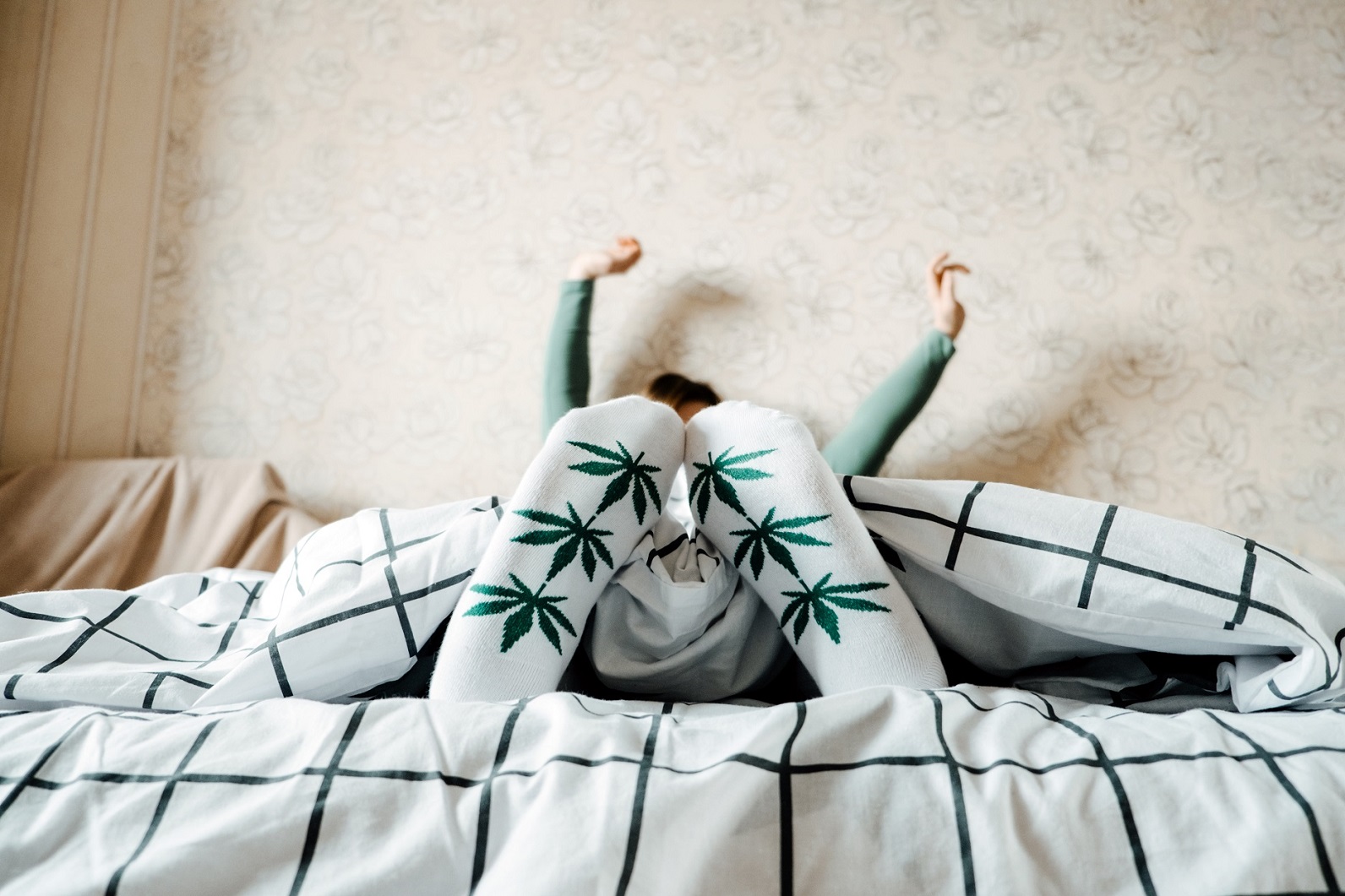 Cannabis For Sleep: What Is CBN? - The Cannifornian